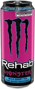 Rehab Monster | 473 mL x 12 pack