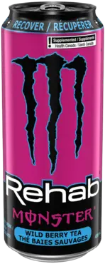 Rehab Monster | 473 mL x 12 pack
