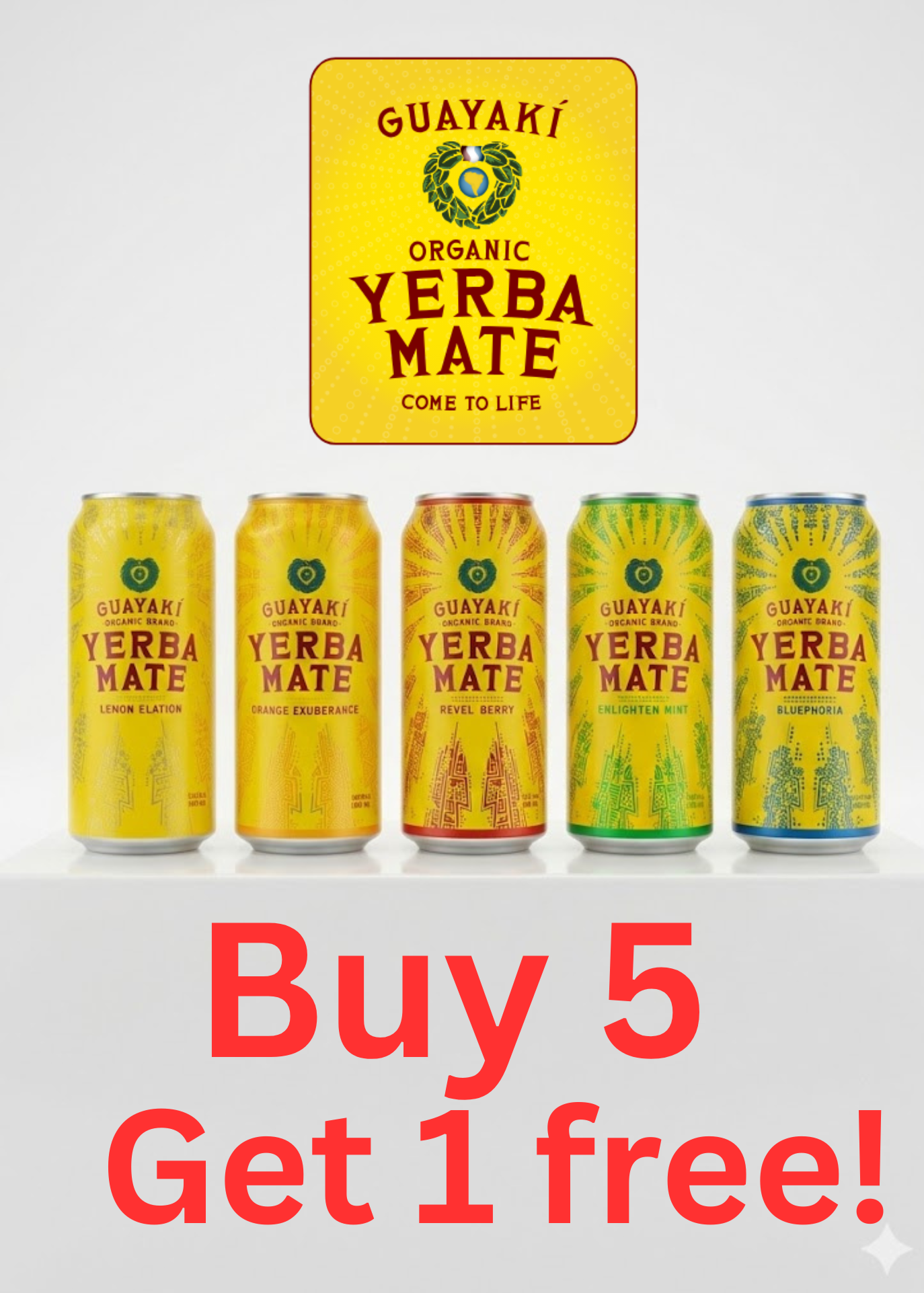 Guayaki Yerba Mate (5 flavours) | 458mL x 12 pack