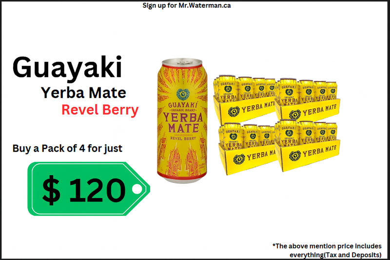 Yerba Mate Deal Pack (458ml x 12 cans)(4 Case)