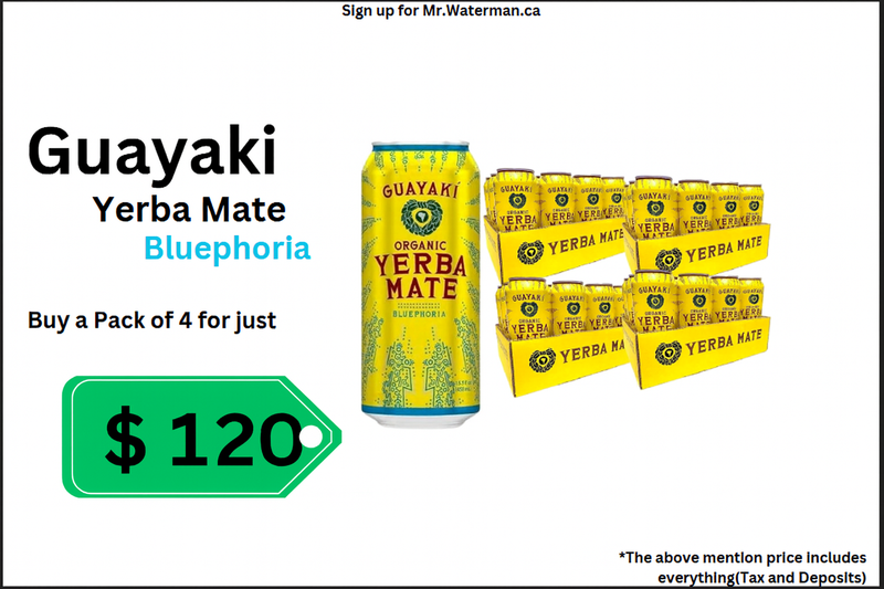 Yerba Mate Deal Pack (458ml x 12 cans)(4 Case)