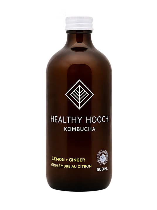 kombucha healthy hooch 500mlx12 Ginger