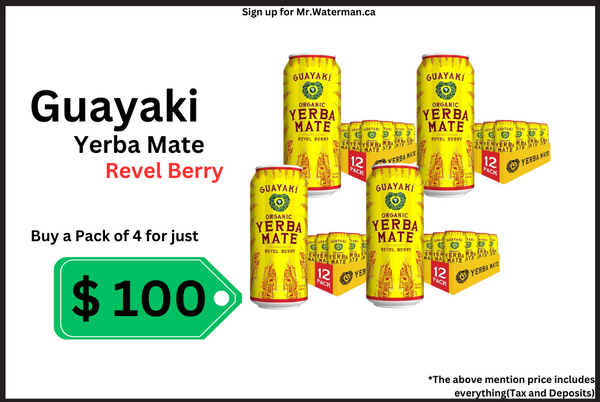 Yerba Mate Revel Berry(4 pack)