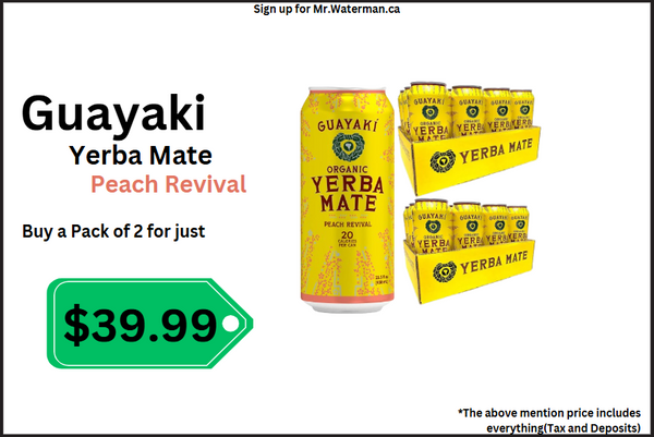 Yerba Mate  Peach  Deal Pack (458ml x 12 Cans X2 Cases)