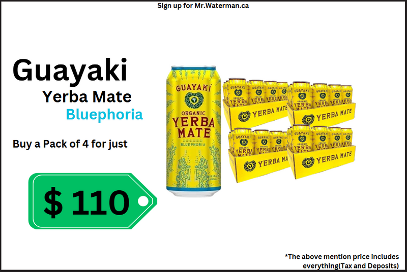 Yerba Mate Deal Pack (458ml x 12 cans)(4 Case)