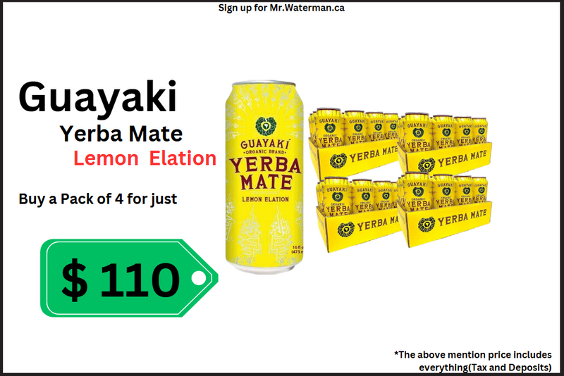 Yerba Mate Deal Pack (458ml x 12 cans)(4 Case)