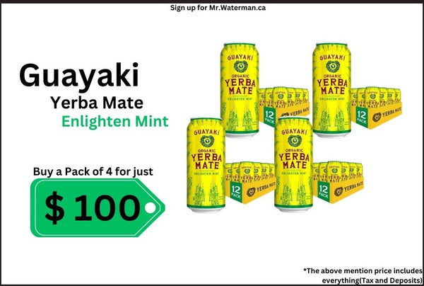 Yerba Mate Enlighten Mint(4 pack)