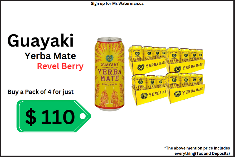 Yerba Mate Deal Pack (458ml x 12 cans)(4 Case)