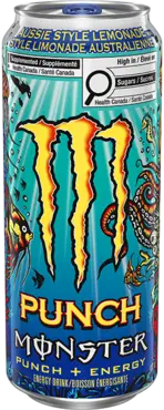 Punch Monster | 473 mL x 12 pack