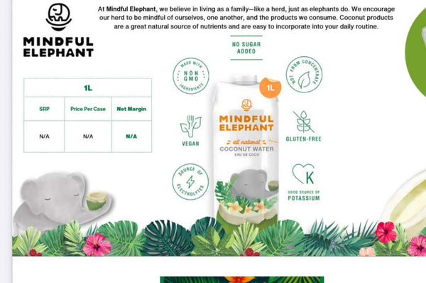 COCONUT WATER 1 l Mindful elephant