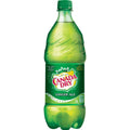 Canada Dry Soda Drink 