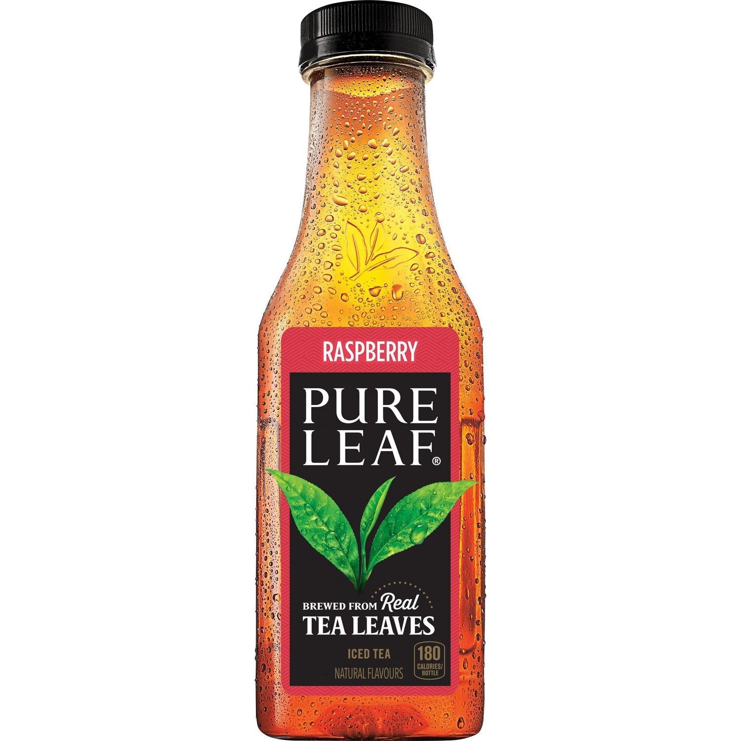 pure leaf tea        
